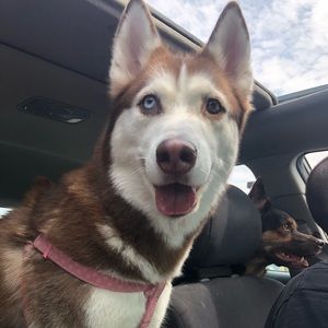 Meet your Posher, Valerie